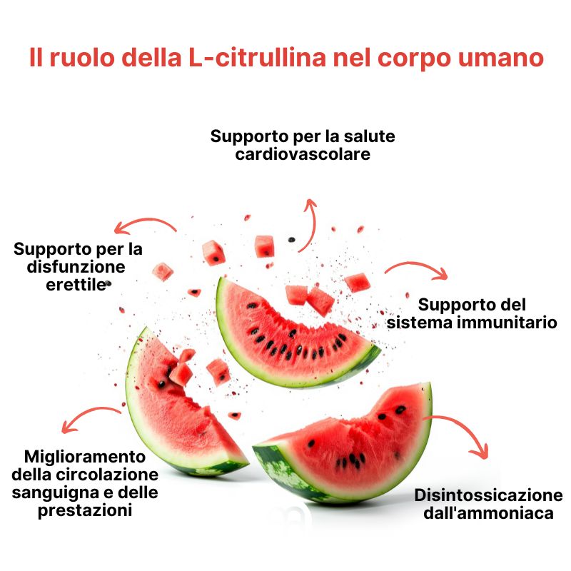 (Italština) Úloha L-citrullinu v lidském těle